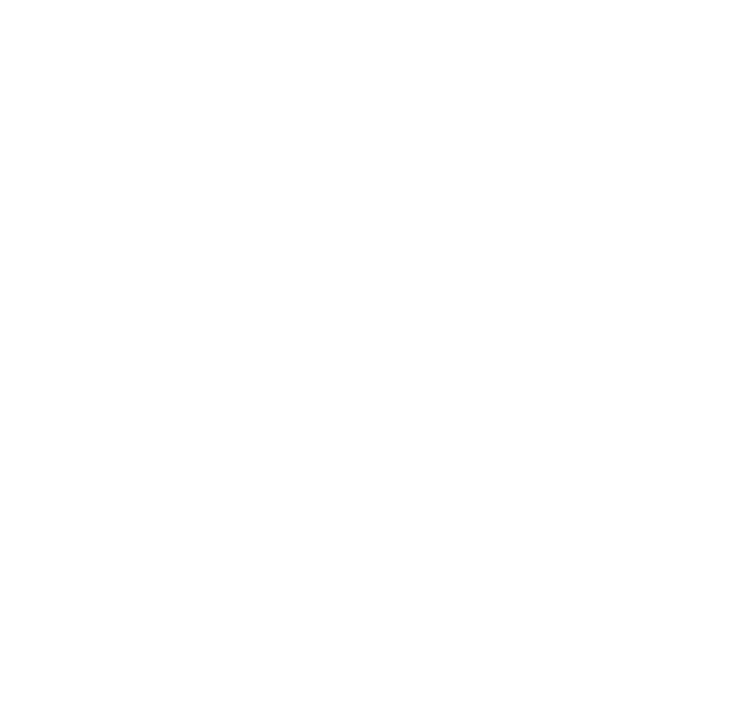 The Line Consult Logo